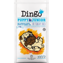 Dingo puppy & junior 15kg.