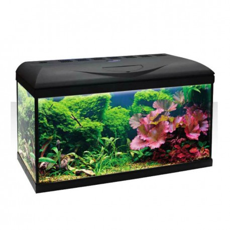 Wave Riviera LED 80 (95 litros)