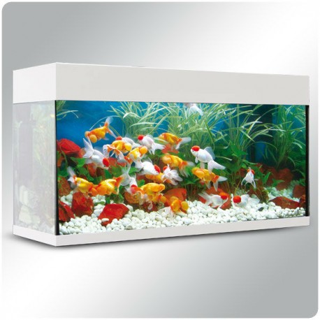 Aqua led lux 68 litros