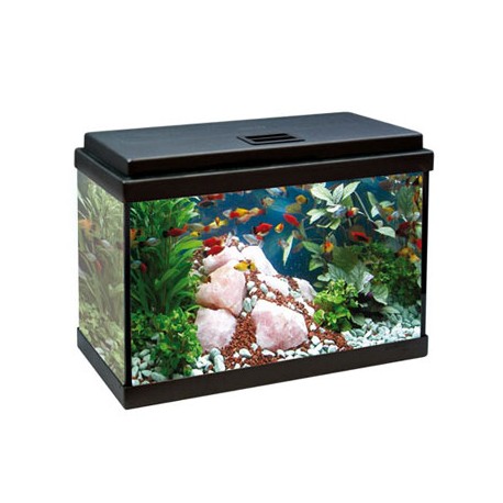 Aqua led 33 litros ica