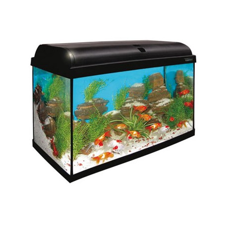 Aqua light 80 litros ica