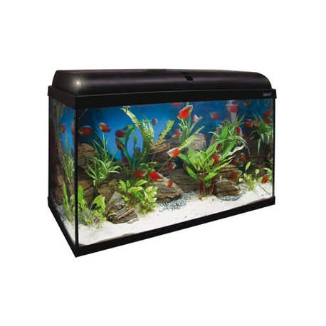 Aqua light 120 litros ica