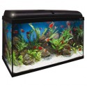 Aqua light 120 litros ica