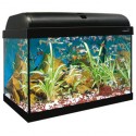Aqua light 25 litros ica